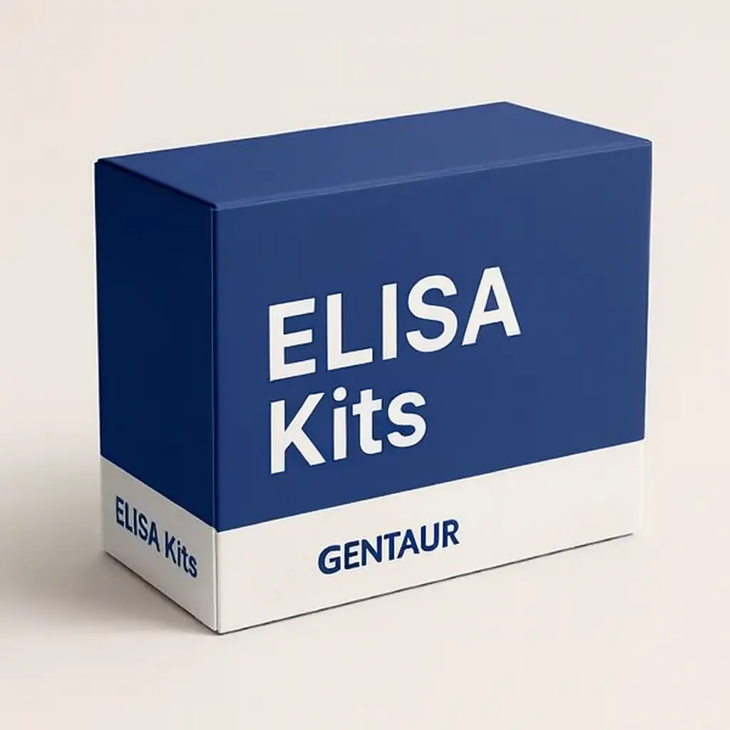 Human Serine Palmitoyltransferase, Long Chain Base Subunit 3 (SPTLC3) ELISA Kit